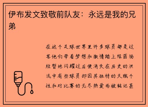 伊布发文致敬前队友：永远是我的兄弟